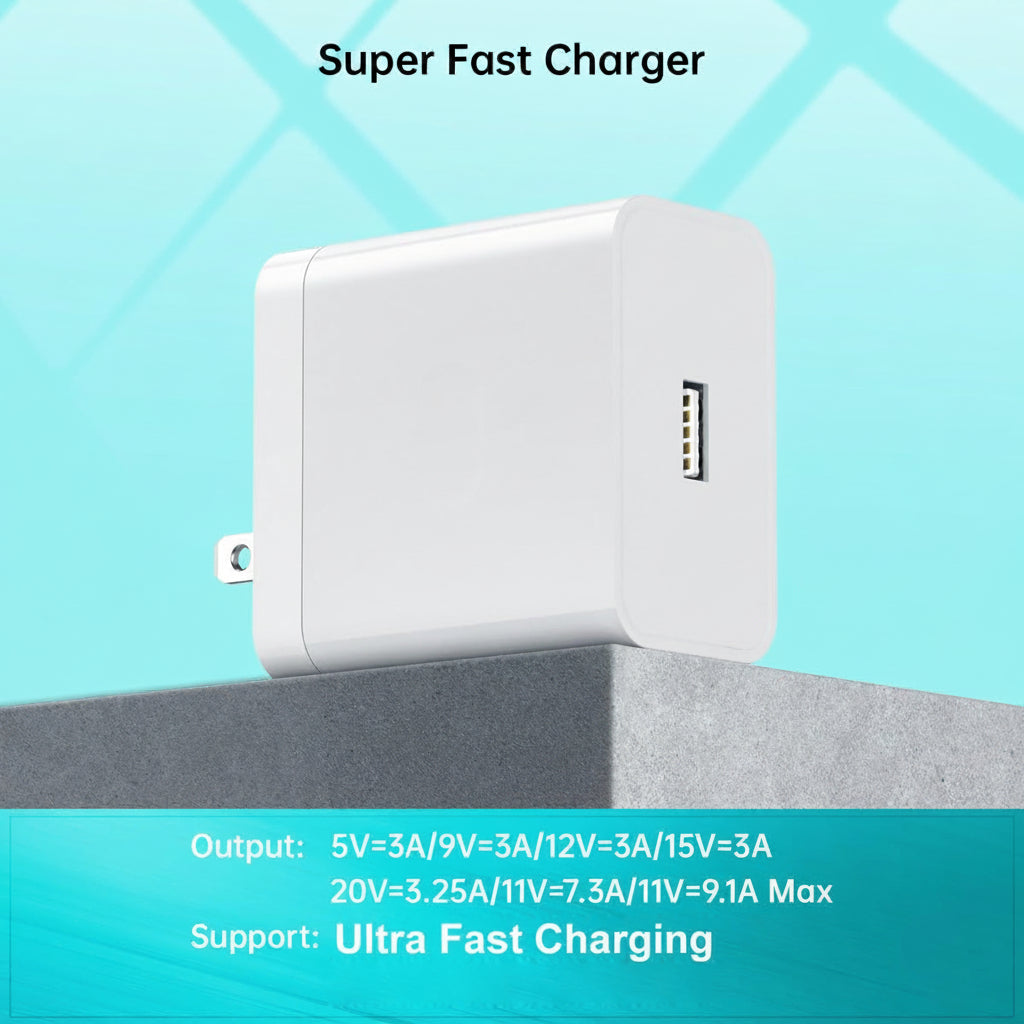 OnePlus 100W Adapter wefixfast